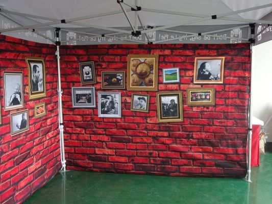 Förderungs-Überdachungs-Zelt 10X20FT annoncierende zusammenklappbare Gazebo-Überdachung im Freien