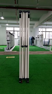 Überdachungs-Zelt-Festzelt 2.5x2.5 10X10 im Freien